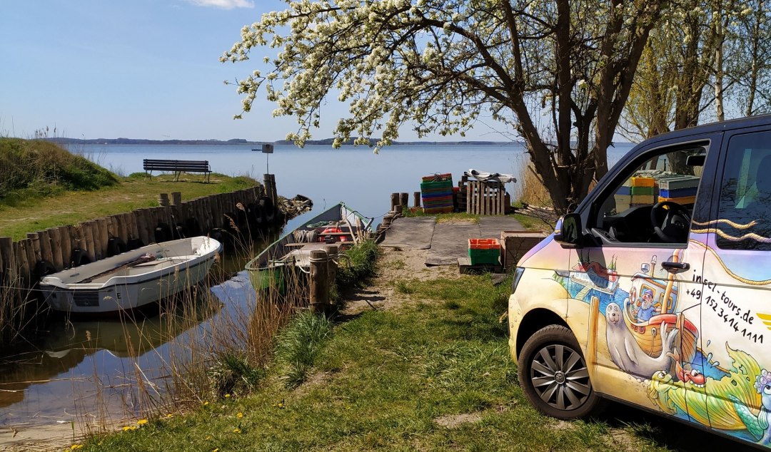 Wykład: "Fale sztormowe na bałtyckim wybrzeżu wyspy Uznam", © InselTours.jpg Wykład: "Fale sztormowe na bałtyckim wybrzeżu wyspy Uznam", © InselTours.jpg