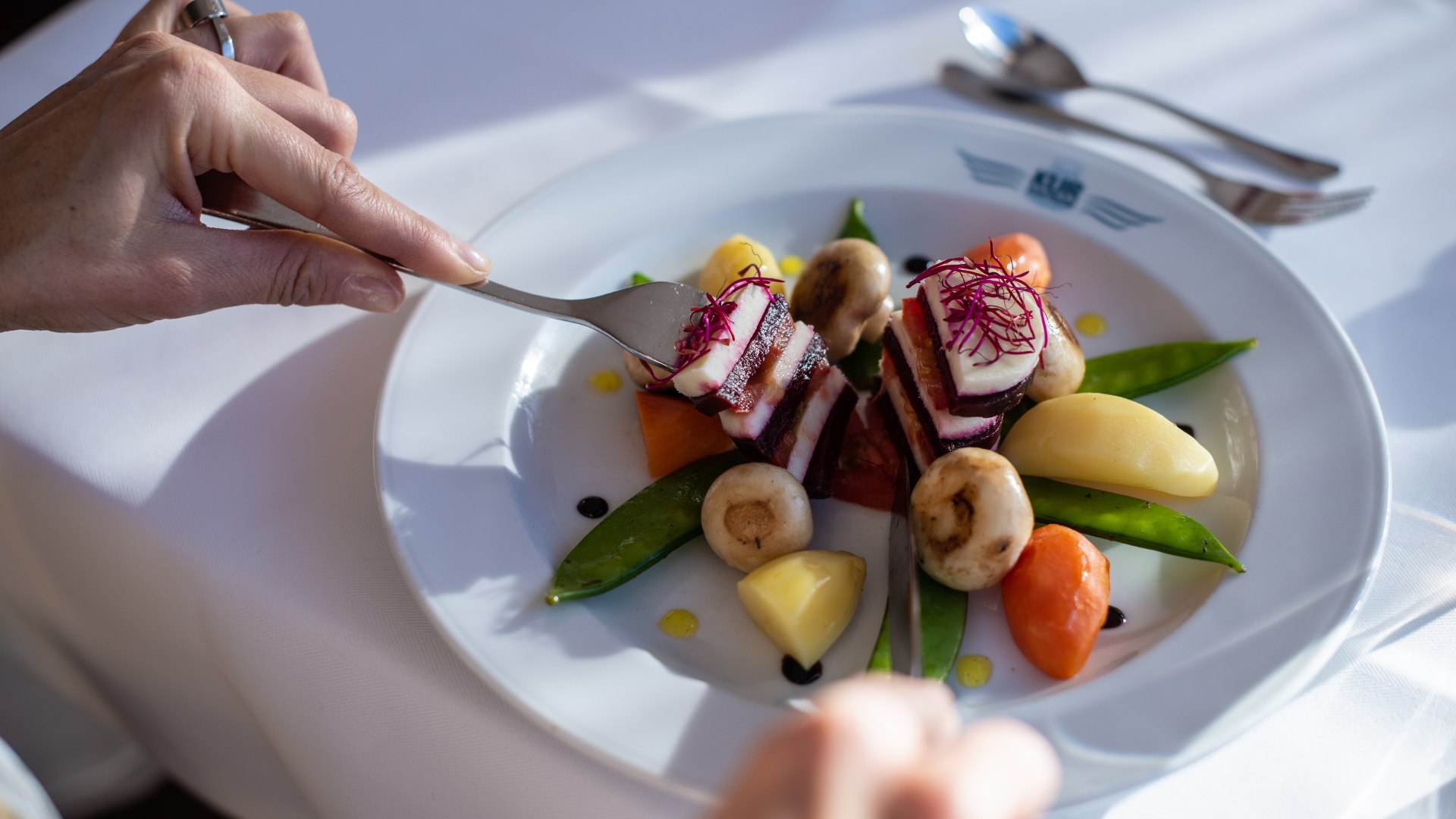 Alkalisch menu in het kuuroord Waren - Een opgemaakt bord met veel groenten