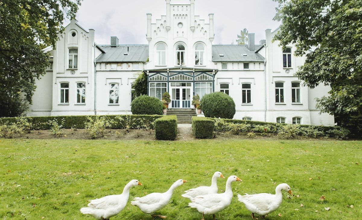 Geese in the park of Kaeselow Castle, © vollvincent