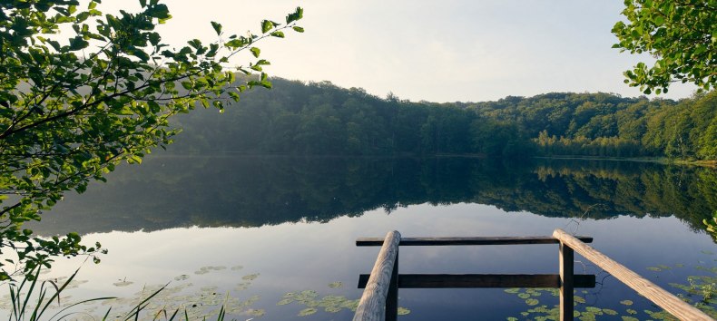 © Stefan Pocha © Stefan Pocha