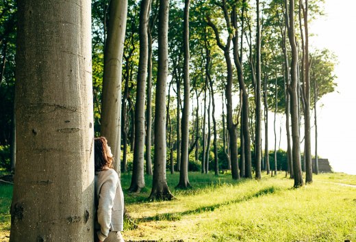 Waldbaden tut der Seele gut // &copy; MV-T/H2F