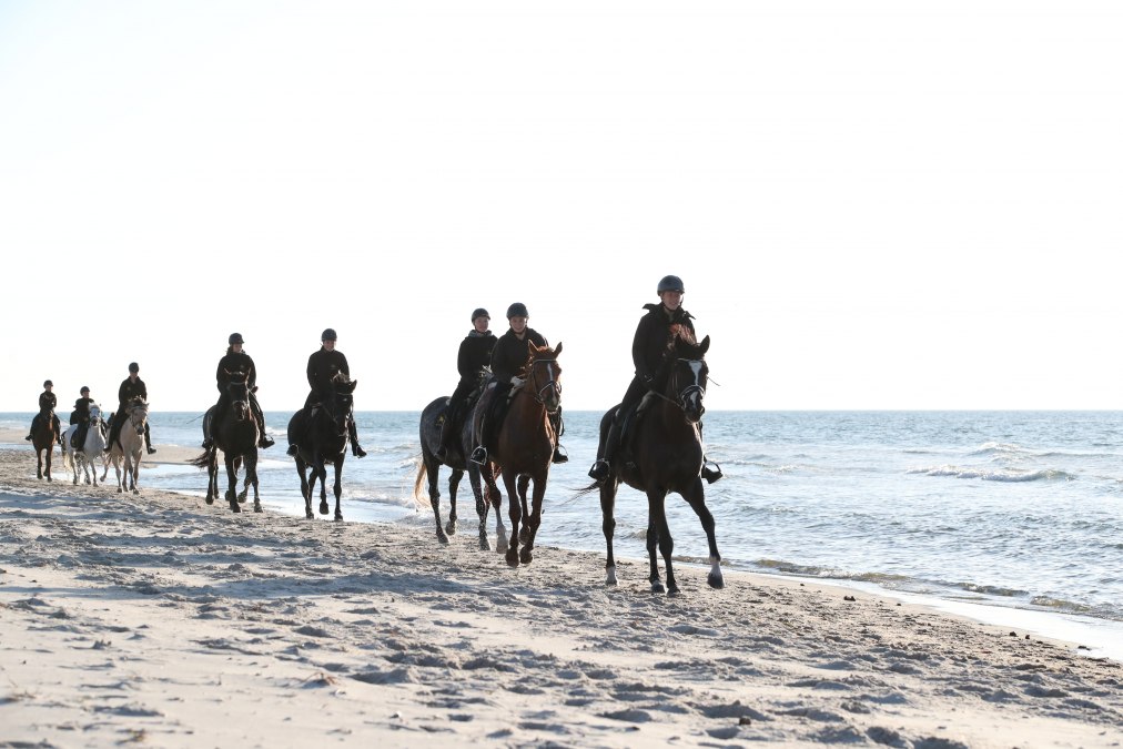 Paardrijden op het strand, © TMV/ACP Pantel
