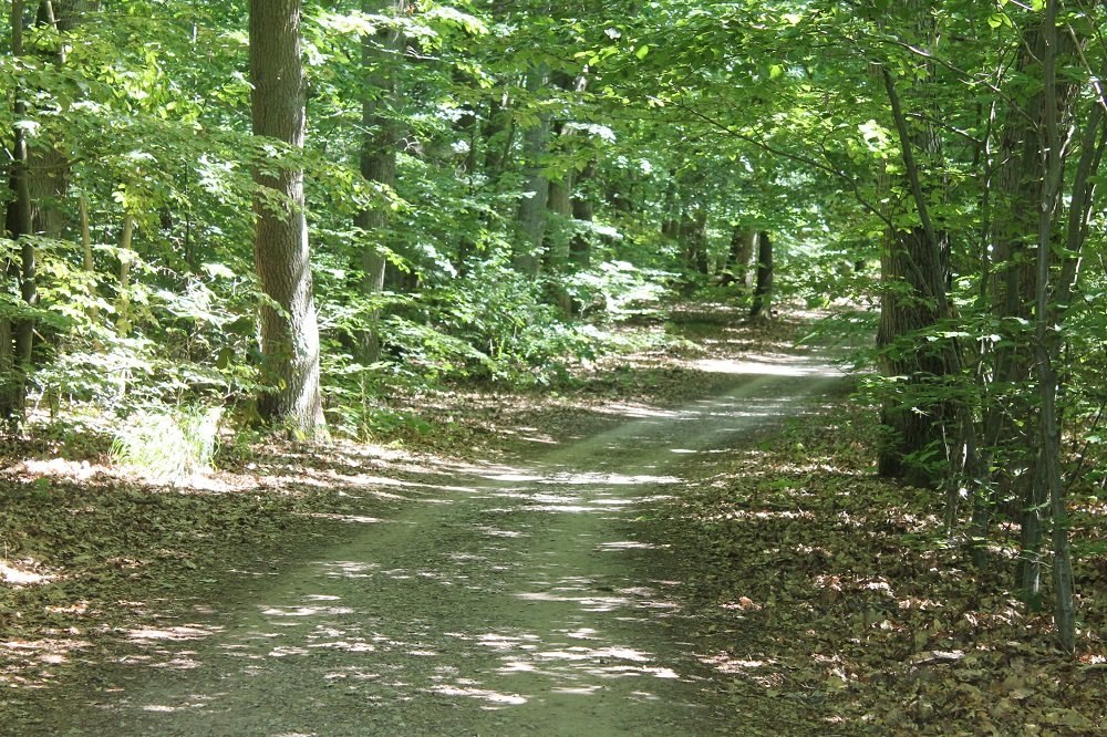 fahrradtour-nsh-5, &copy; Andreas Breuer