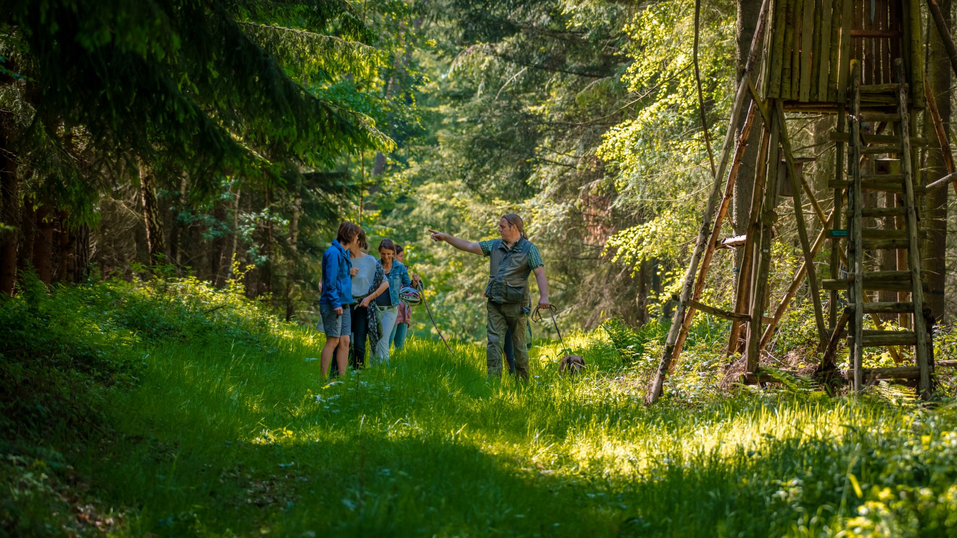 Five people are walking along a path through a forest with tall grass.