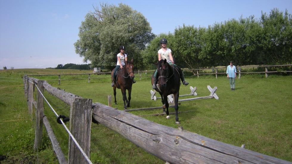 Hof Silberweide: Cavaletti pracują na ujeżdżalni, © Hof Silberweide/ Alfred Waschlewski