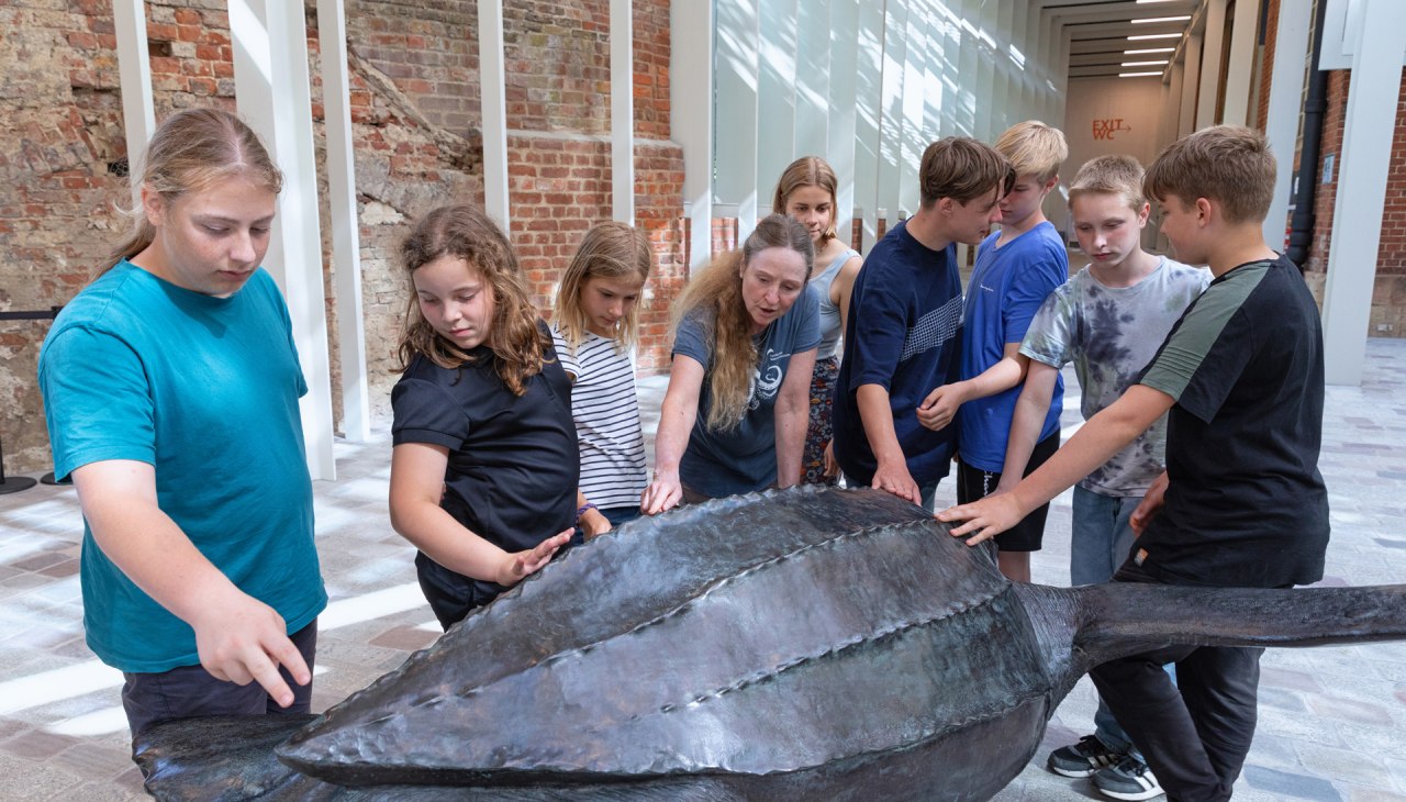 © Anke Neumeister/Deutsches Meeresmuseum