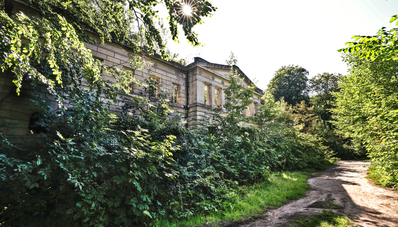 kasteel-ruïnes-wasieden_1, © TMV/Gohlke