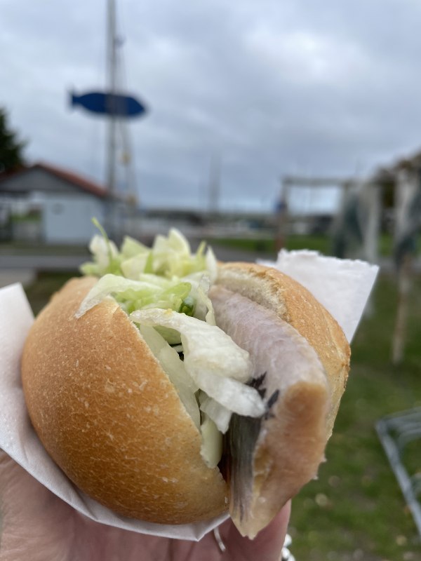 IMG_0273, &copy; TZ S&uuml;dliche Boddenk&uuml;ste