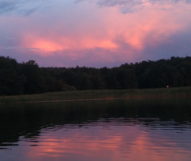 De dieren van de nacht ontwaken bij zonsondergang, © Sabine Görmar
