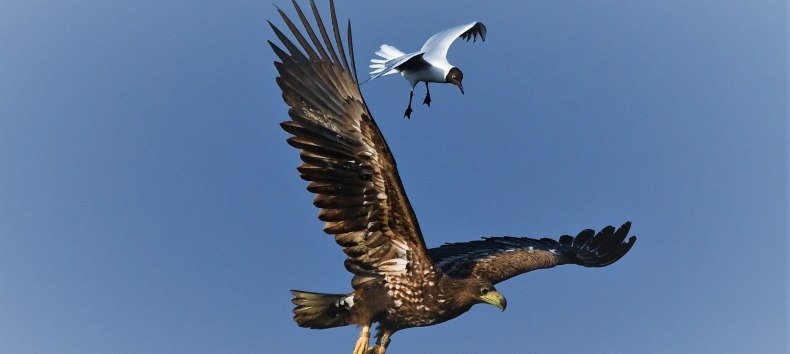 © Jörg Dollmanski © Jörg Dollmanski