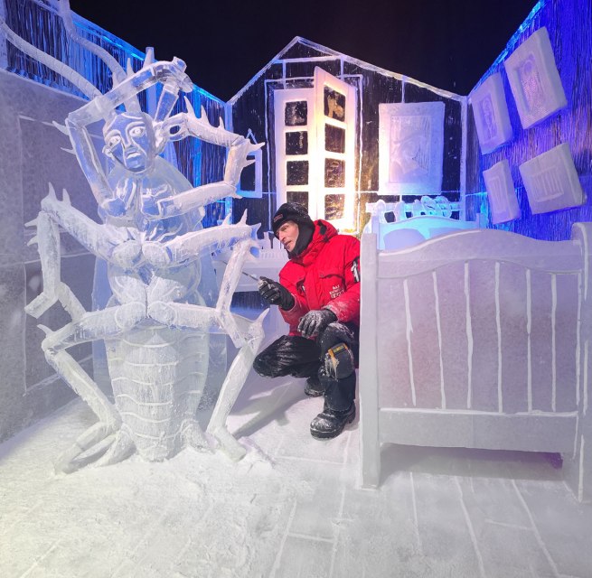 &copy; Karls Markt OHG