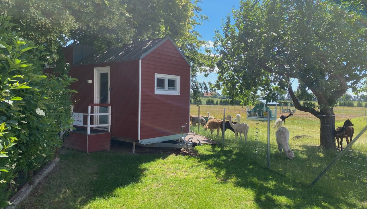 Tiny house with a view of the alpacas, &copy; Alpaka Idylle