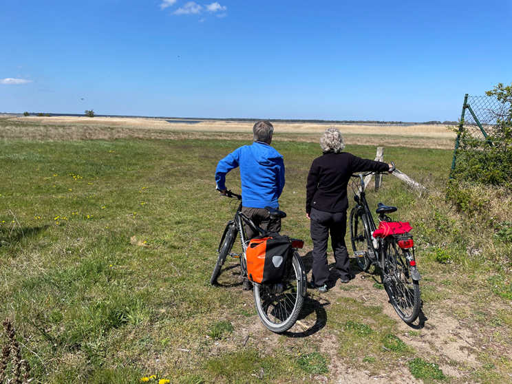 © TZ Südliche Boddenküste © TZ Südliche Boddenküste