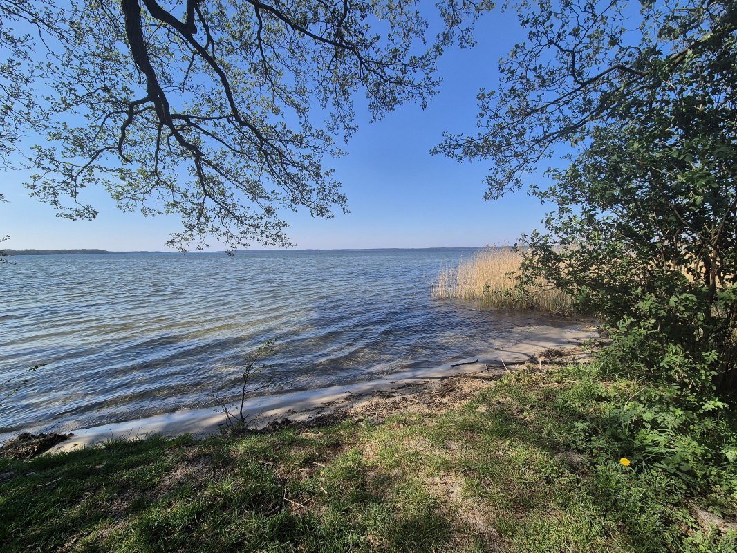 20250420_151032, &copy; Gina Schulenberg