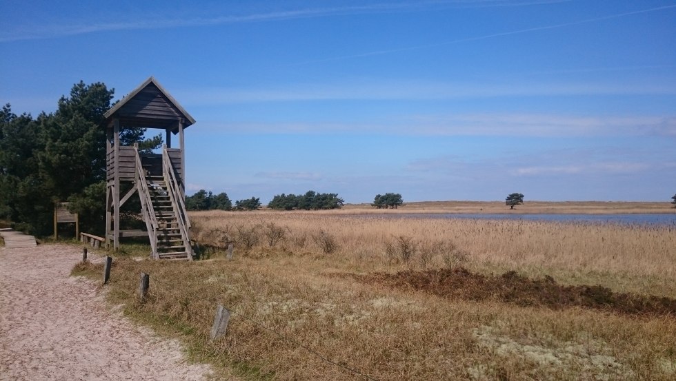 Observation tower at the Libbert lake // © UB Observation tower at the Libbert lake // © UB