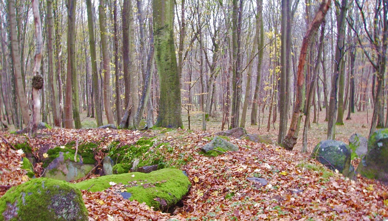 A large dolmen from about 3000 B.C. ago in Klosterholz, &copy; Arch&auml;o Tour R&uuml;gen