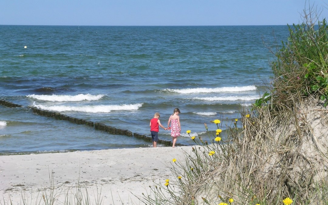 Rondleiding_Lupe_Hiddensee_C_Wolff_1800, © Nationalparkamt Vorpommern
