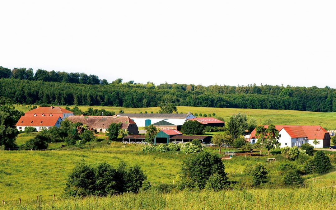 Posiadłość i Gourmet Manufaktur w Klepelshagen położone w krajobrazie Brohmer Berge, © Gourmet Manufaktur Gut Klepelshagen