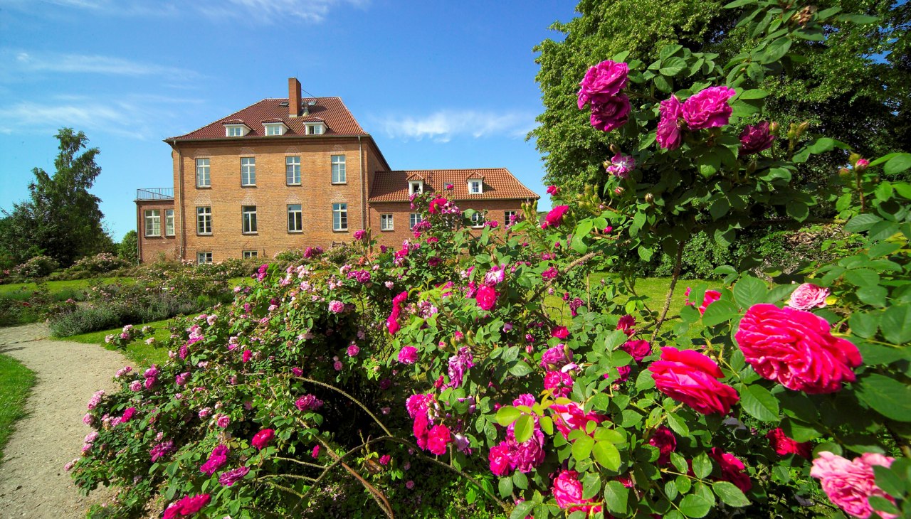 Gottin Rose Park z ponad 2000 róż w ponad 200 odmianach, © Gutshaus Gottin