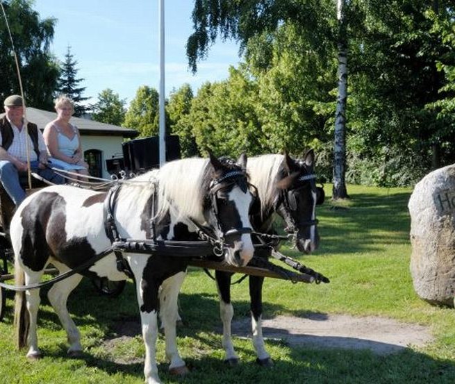 Start der Kutschfahrt // &copy; Hof Thomsen