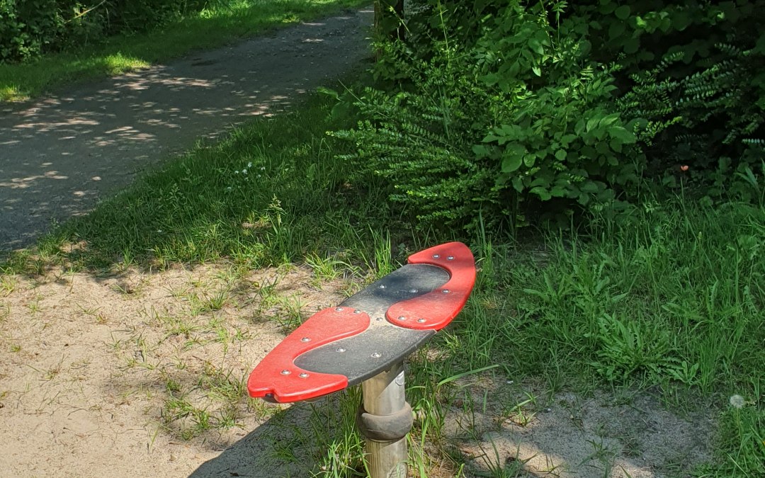 20250603_105920, © Amt Mecklenburgische Kleinseenplatte