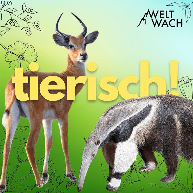 © Lydia Möcklinghoff, Dr. Frauke Fischer.