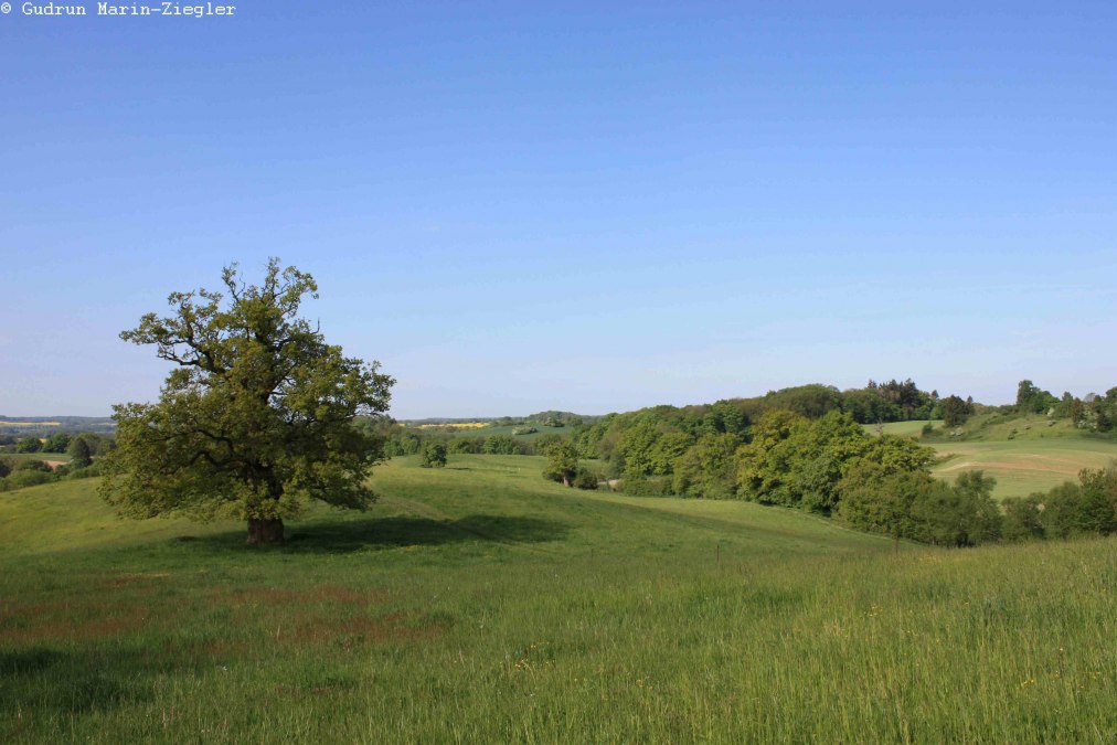 24-06-08 Historia i przyszłość 02, GMZ, &copy; np-msk