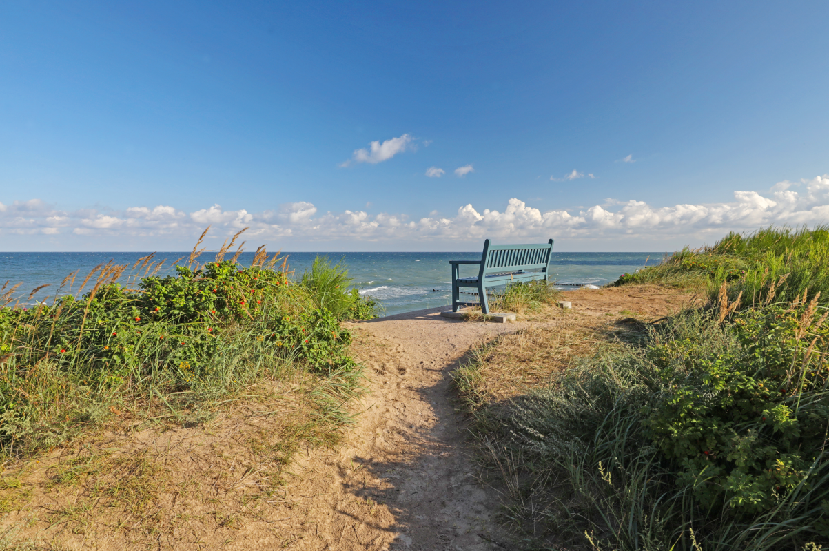 Kliffen van Hohes Ufer in de kustplaats aan de Oostzee Wustrow, © TMV/Gohlke Kliffen van Hohes Ufer in de kustplaats aan de Oostzee Wustrow, © TMV/Gohlke