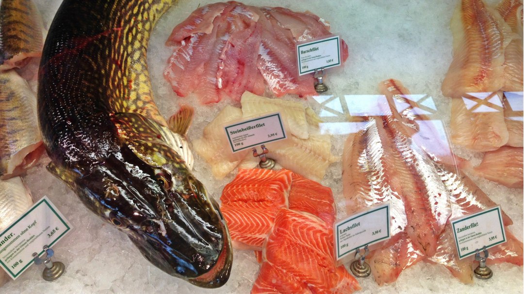 Fischkaten in the Baltic resort Ahrenshoop, © Marie Klus