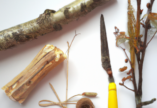Von der Natur inspirieren lassen und kreativ werden // © Annett Freese Von der Natur inspirieren lassen und kreativ werden // © Annett Freese