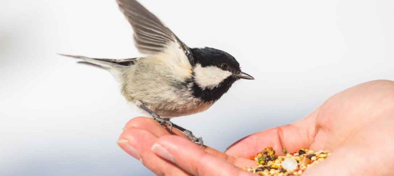 © Erlebnis Akademie AG/NEZR © Erlebnis Akademie AG/NEZR