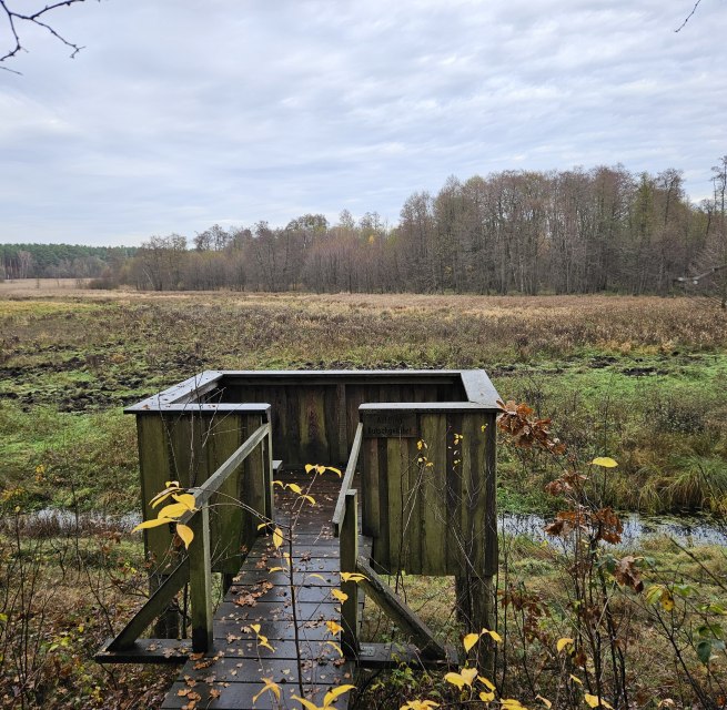 &copy; NPA M&uuml;ritz