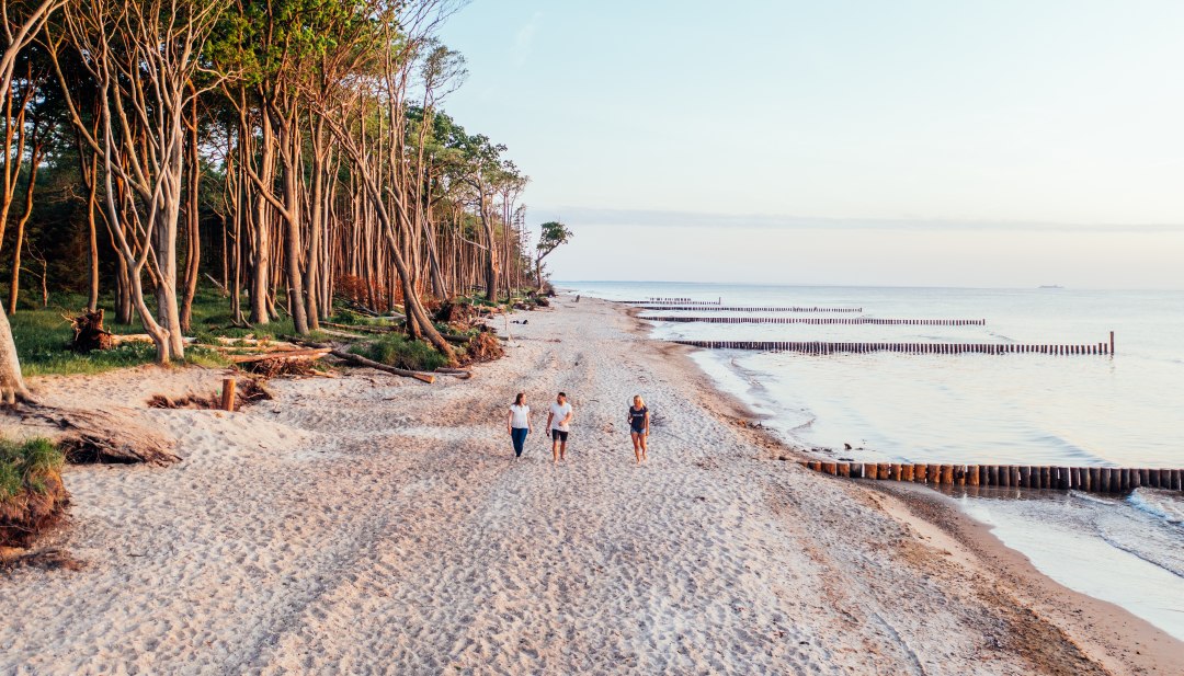 Trzy osoby spacerują po plaży. Po lewej stronie znajduje się nadmorski las, a po prawej Morze Bałtyckie.