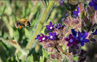 &copy; (c) H.Pfeffermann