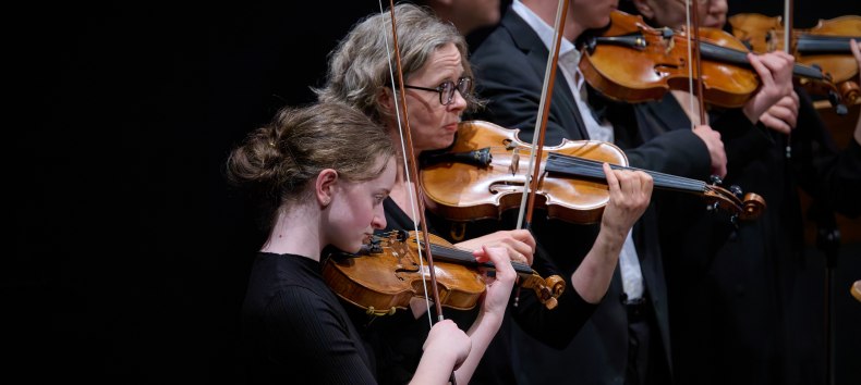 &copy; Mirco Dalchow