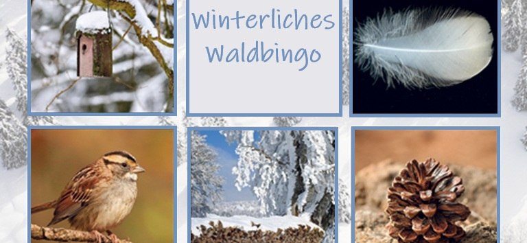 © waldbingo.jpg © waldbingo.jpg