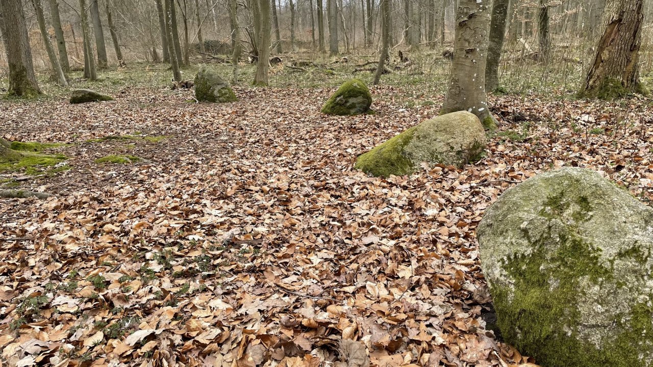 &copy; TZ S&uuml;dliche Boddenk&uuml;ste