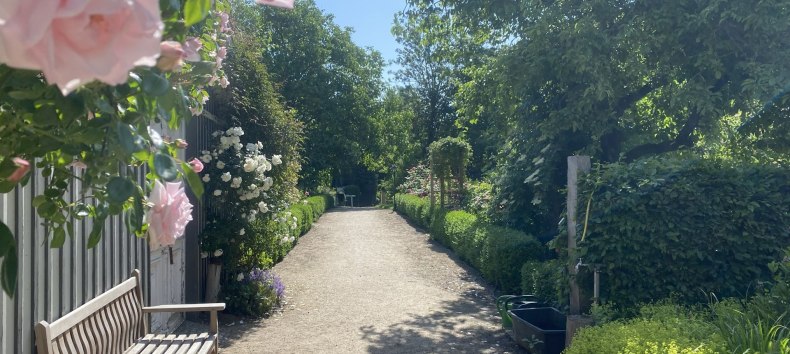 Der Klostergarten &ouml;ffnet im Juni wieder seine Pforten f&uuml;r alle interessierten Gartenfreunde. // &copy; Kloster Saunstorf