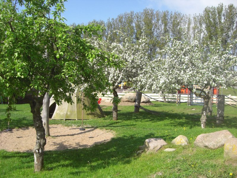 Lente op de ezelboerderij, © Eselhof Schlage