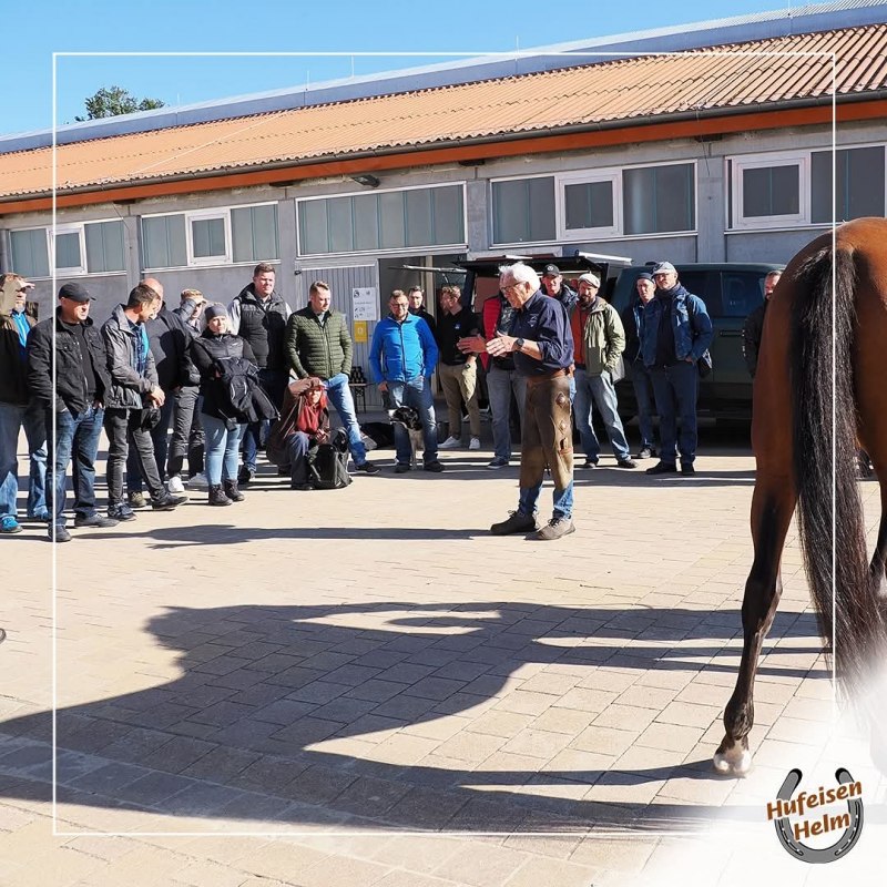 © Hufbeschlag Helm © Hufbeschlag Helm