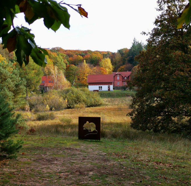 &copy; Wiebke D&ouml;bbert