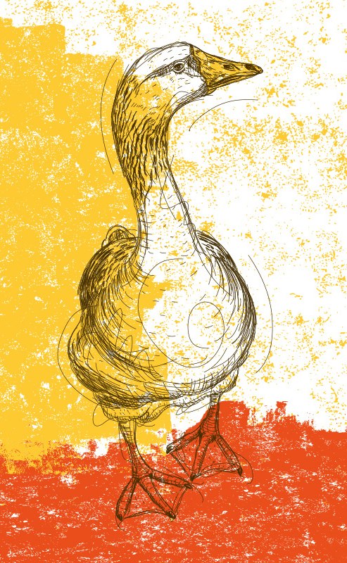 Goose delicious // &copy; Strandhotel Ostseeblick