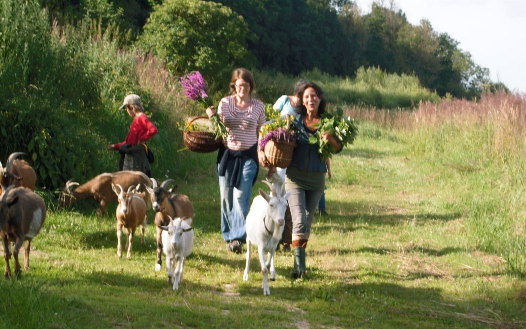 Kruidenwandeling met geiten, © Kräuterhof Carlsthal