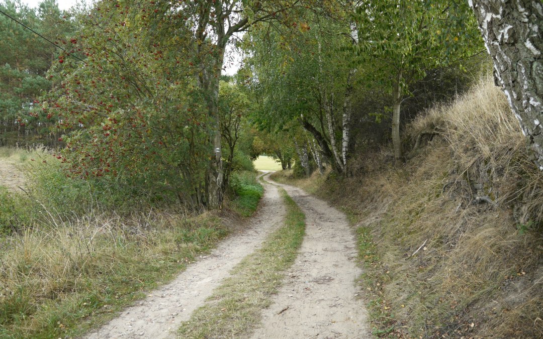Landscape near Langen Brütz, © Naturpark Sternberger Seenland