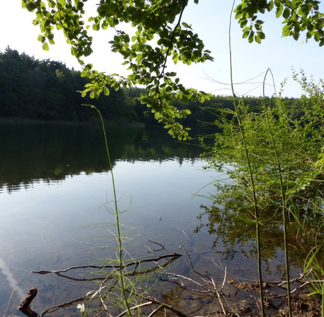 &copy; Bianca Schubert