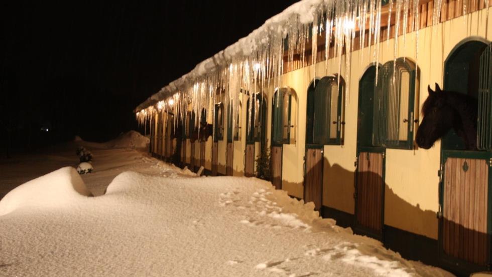 De Tegelhof manege in winterse magie, © Sven C. Arlt
