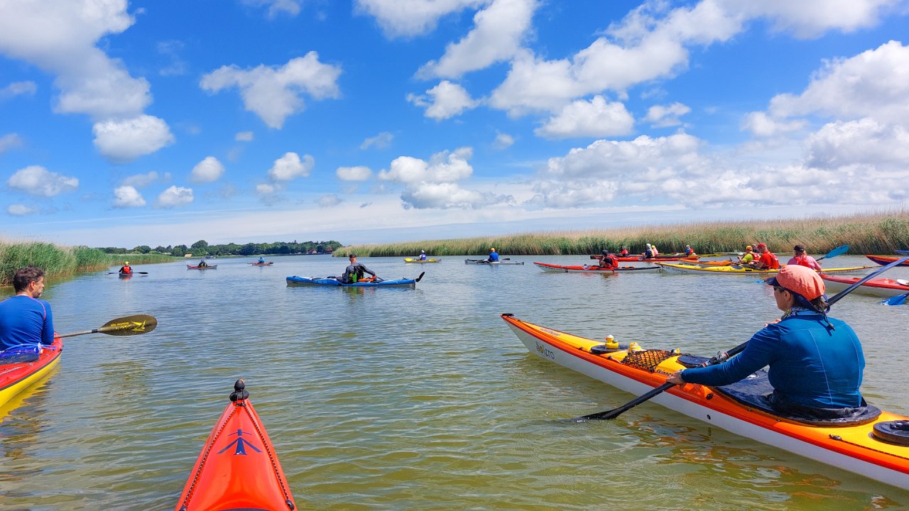Training with the paddling professional, © paddelprofi.com / Kredl Training with the paddling professional, © paddelprofi.com / Kredl