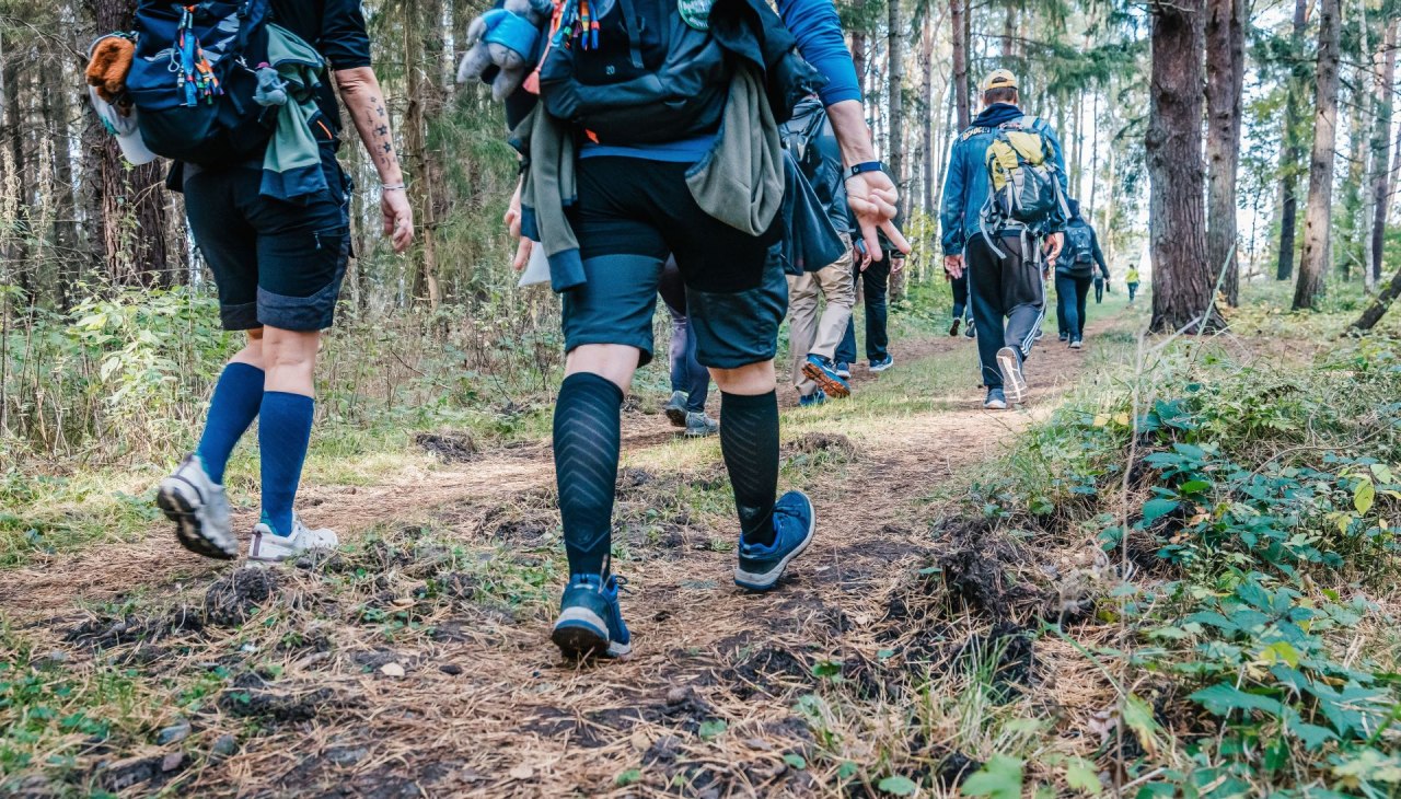 Hikers on the Rügen 2024 mega march through the forest, © TVR / Mirko Boy