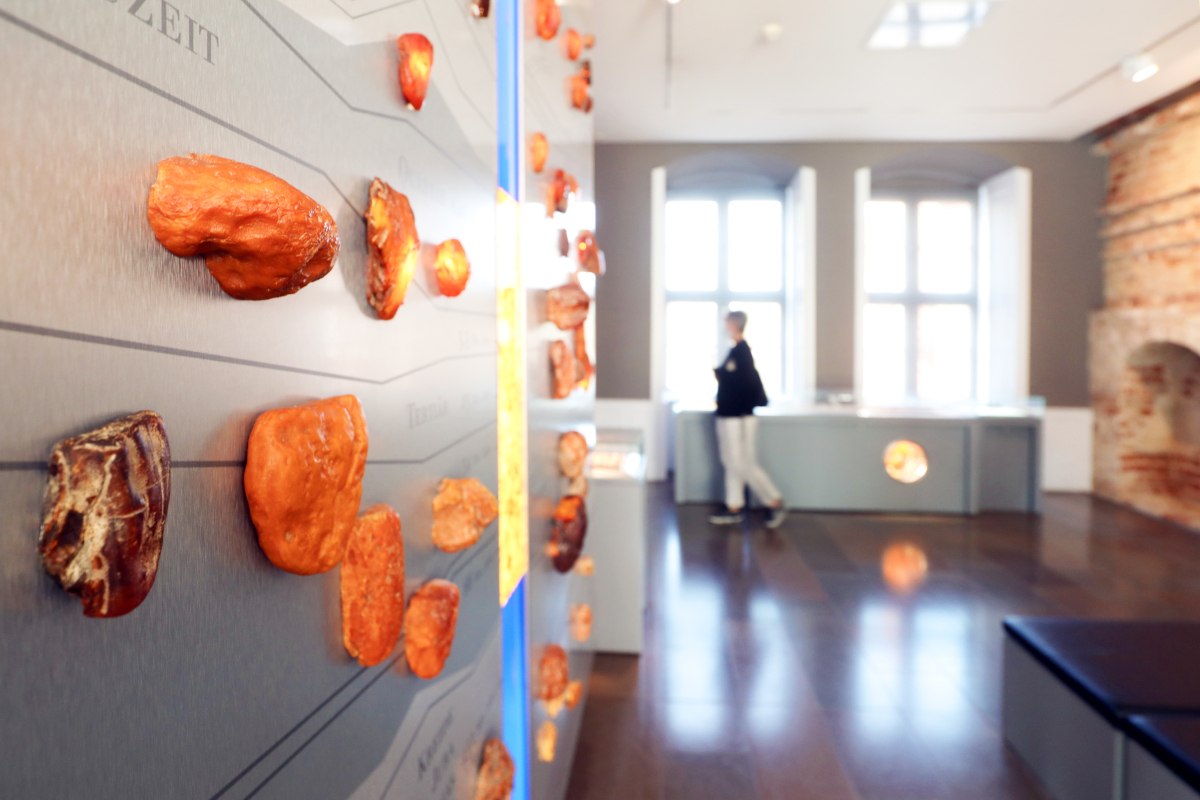 Deutsches_Bernsteinmuseum_&copy;Stad Ribnitz-Damgarten, &copy; Stadt Ribnitz-Damgarten