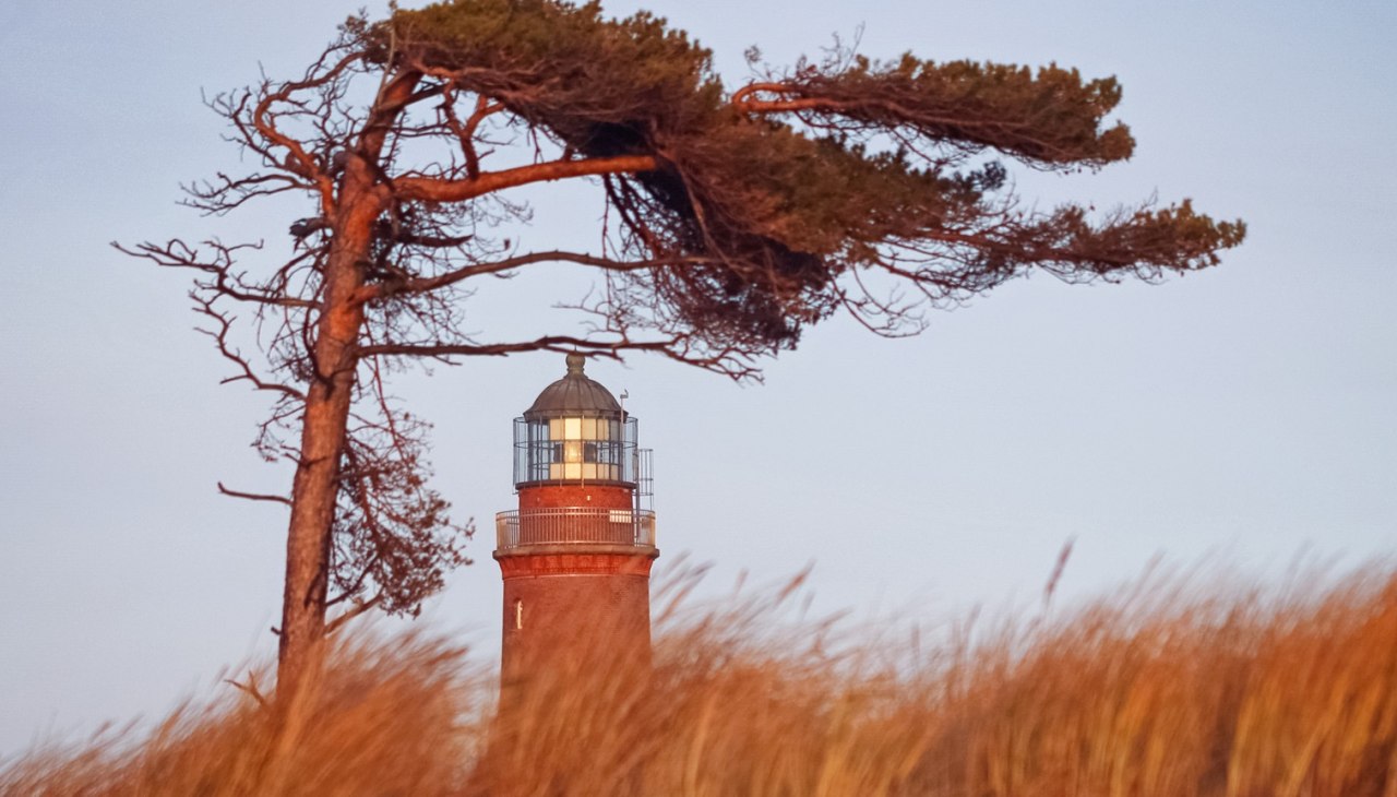 Het Darßer Weststrand is versierd met een vuurtoren, die deel uitmaakt van het NATUREUM., © Anke Neumeister/Deutsches Meeresmuseum
